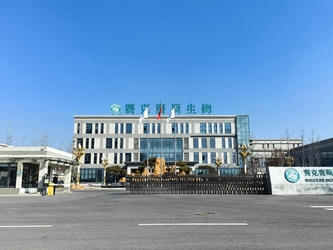 Shandong Saikesaisi Hydrogen Energy Co., Ltd निर्माता उत्पादन लाइन