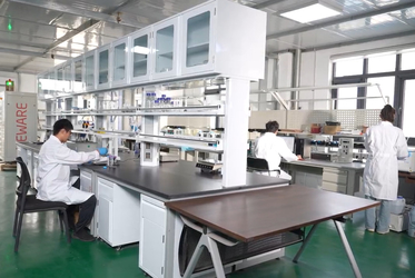 Shandong Saikesaisi Hydrogen Energy Co., Ltd निर्माता उत्पादन लाइन